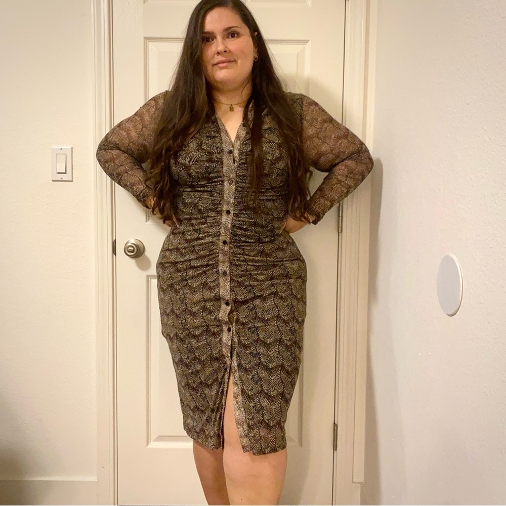 Button Through Mesh Dress